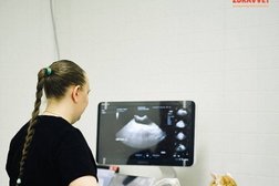 Ветеринарная клиника ZDRAVVET, с рейтингом 4.8 - находится по адресу Саратовская область, Энгельс, улица Волоха, 15А 
