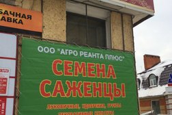 Магазин Семян В Йошкар Оле