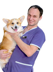 Ветеринарный хирург, ветеринарный врач-офтальмолог Максим Сергеевич Немилостив