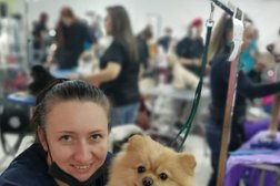 Зоосалон Магия груминга, с рейтингом 5 - находится по адресу Московская область, Химки, Левобережный, 141406, Совхозная улица, 12 