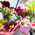 фотография Blommor