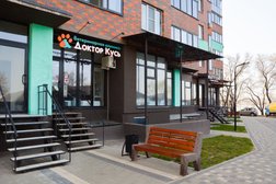 Доктор Кусь, с рейтингом 4.9 - находится по адресу Воронеж, Артамонова, 4д 