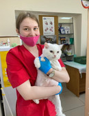 Павлова Анастасия Евгеньевна