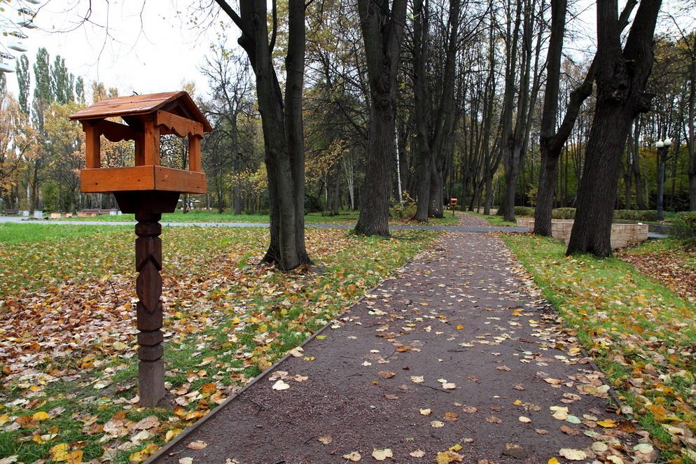 Парк главная. Лесопарк Измайлово. Измайловский парк парк. Измайловский парк лавочки. Аллея большого круга 7 Измайловский парк.