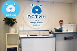Ветеринарная клиника АСТИН, с рейтингом 3.7 - находится по адресу Московская область, Балашиха, улица Текстильщиков, 15а 