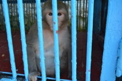 Зоопарк Нальчикский, с рейтингом 2.1 - находится по адресу Кабардино-Балкарская Республика, Нальчик, Долинский переулок, 1 