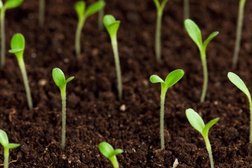 Monterra LTD