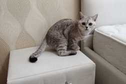 Компания Перетяжка-М.рф, с рейтингом 4.7 - находится по адресу Воронеж, Беговая улица, 128 