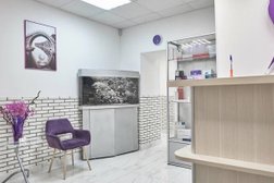 Косметология Алтеро, с рейтингом 3.5 - находится по адресу Москва, Филипповский переулок, 7 