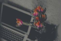 Маркетинговое агентство Collaba Digital Büro, с рейтингом 4.4 - находится по адресу Санкт-Петербург, Днепропетровская улица, 14 