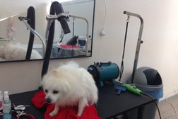 Выездная ветеринарная служба Мос-Вет 24, с рейтингом 3.3 - находится по адресу Москва, улица Александра Солженицына, 25 