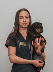 Ветеринар, ветеринарный анестезиолог-реаниматолог Алена Анатольевна Кошкина