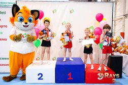 Всероссийская детская спортивная школа по художественной гимнастике и спортивной акробатике FD, с рейтингом 4.6 - находится по адресу Москва, Вильнюсская улица, 6к2 