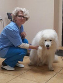 Болабко Елена Геннадьевна