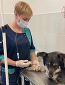 Кобзева Галина Вячеславовна