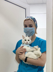 Ветеринарный анестезиолог-реаниматолог, ветеринарный врач лабораторной диагностики Юлия Сергеевна Михайловская