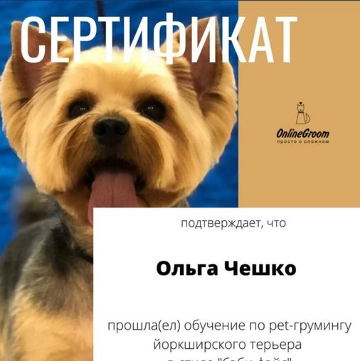 Ольга Чешко