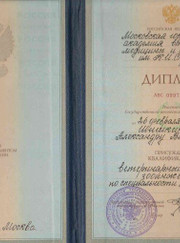 Главный ветеринарный врач, ветеринар Александр Вячеславович Шишкин