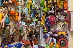 Ветеринарная клиника Миллион Друзей, с рейтингом 3.8 - находится по адресу Ярославль, улица Лисицына, 38 