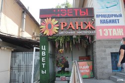 Цветочный магазин Оранж, с рейтингом 3 - находится по адресу Алматы, Толе би, 201 