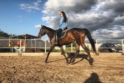 Конный клуб Сармат, с рейтингом 4.9 - находится по адресу Ростовская область, Азовский район, Елизаветинское сельское поселение, хутор Городище, Геологическая улица, 55А 