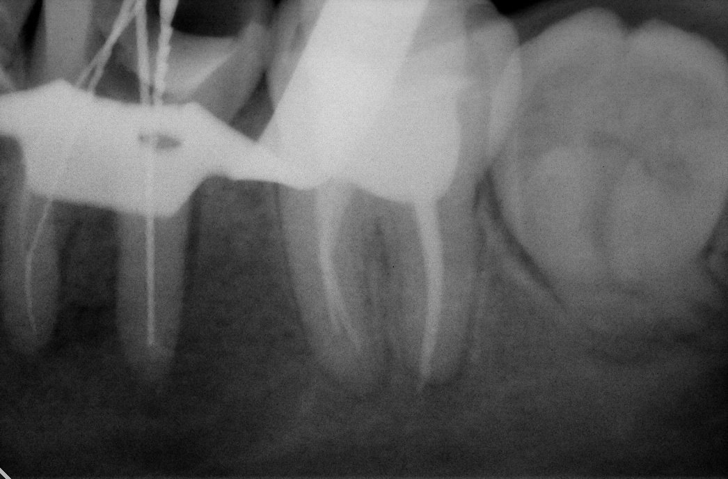 фотография работы Клиники доказательной психотерапии Alvi Clinic на метро Спортивная