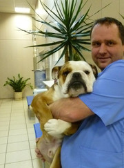 Ветеринарный врач-дерматолог, ветеринарный врач-терапевт Александр Валерьевич Юрасов