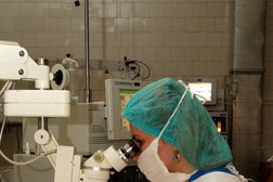 Нижегородская областная клиническая больница им. Н.А. Семашко, с рейтингом 3.1 - находится по адресу Нижний Новгород, улица Родионова, 190 