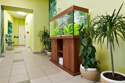 Многопрофильный медицинский центр XXI век, с рейтингом 3.5 - находится по адресу Санкт-Петербург, Коломяжский проспект, 28 