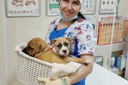 Ветеринарная клиника Аляска, с рейтингом 3.8 - находится по адресу Пермь, шоссе Космонавтов, 217 