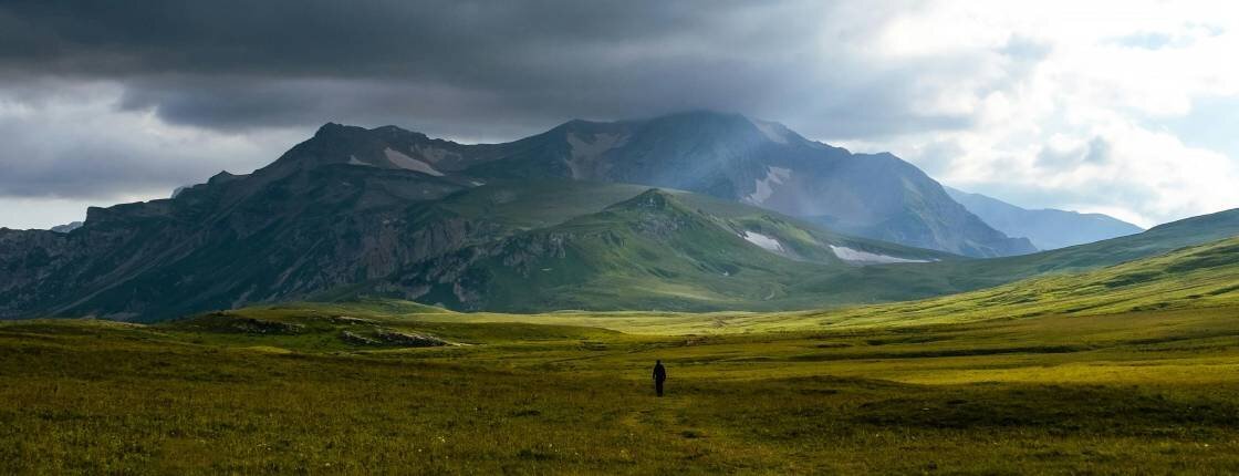 Источник фото: pexels.com