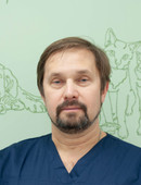 Поляков Андрей Васильевич