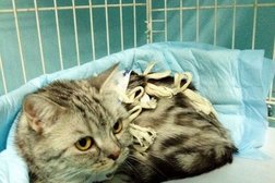 Ветеринарная клиника Жизнь, с рейтингом 3.2 - находится по адресу Омск, Харьковская улица, 23 