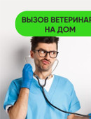 Алиев Гусейн