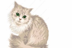 Ветеринарная клиника Роки, с рейтингом 3 - находится по адресу Ленинградская область, Всеволожский район, Мурино, улица Шоссе в Лаврики, 72, корп. 2 