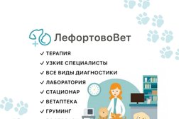 Ветеринарная клиника ЛефортовоВет, с рейтингом 4.9 - находится по адресу Москва, шоссе Энтузиастов, 13с4 