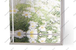 Интернет-магазин посуды Гранд Престиж, с рейтингом 3.3 - находится по адресу Москва, Андропова проспект, 38 к3 