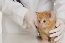 Государственная ветеринарная лечебница Азовская межрайонная станция по борьбе с болезнями животных, с рейтингом 2.1 - находится по адресу Ростовская область, Азов, Коллонтаевский переулок, 103 