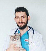 Ветеринар, ветеринарный врач-дерматолог Дмитрий Валентинович Соколов