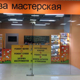 фотография Вива