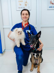 Ветеринарный анестезиолог-реаниматолог, ветеринарный врач-терапевт Юлия Сергеевна Рыбчик