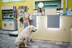 Ветеринарная клиника Диплодок, с рейтингом 4.9 - находится по адресу Нижний Новгород, проспект Гагарина, 29 