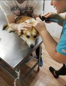 Ксенофонтова Юлия Вячеславовна