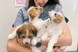 Ветеринарная клиника МирВет, с рейтингом 2.5 - находится по адресу Республика Татарстан, Казань, улица Азата Аббасова, 8 