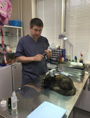 Домаев Дмитрий Александрович