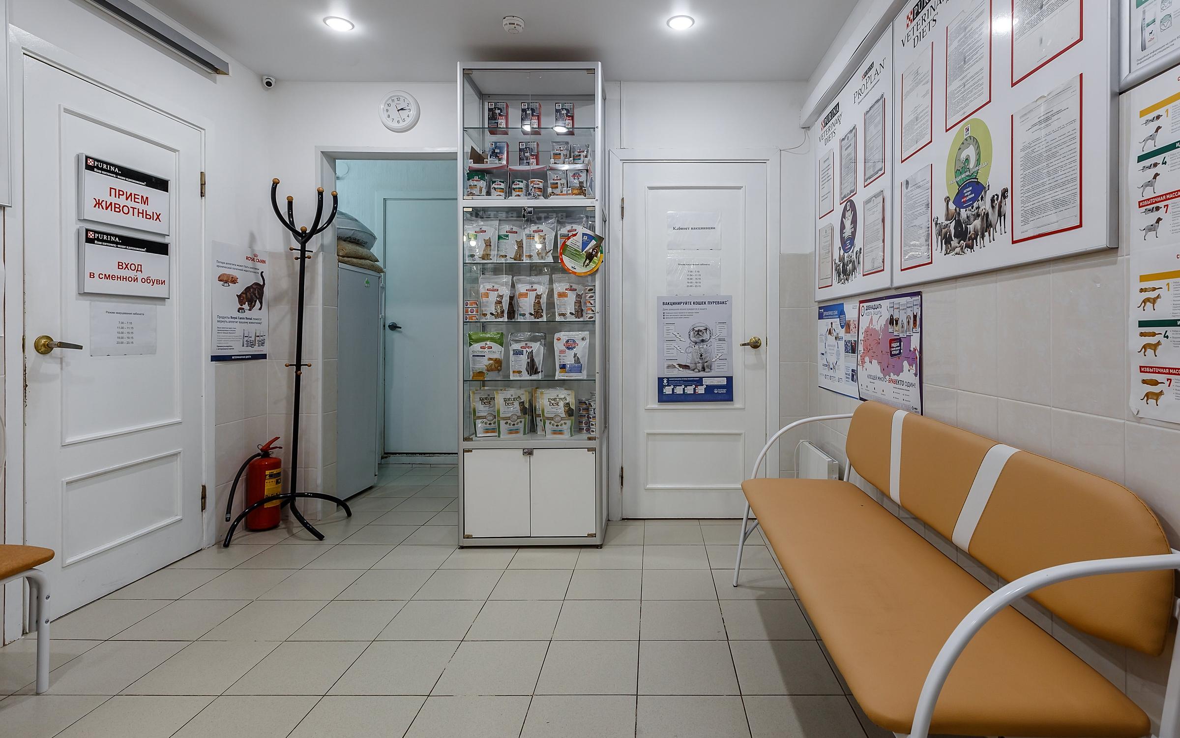 Ветклиника на корзуна. Ветклиника на корзуна. Ветклиника на корзуна рыжий хвост. Ветклиника на корзуна. Ветклиника оранжерейная.