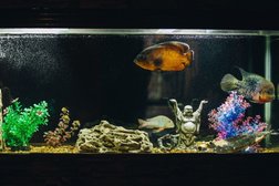 Спа салон Баунти, с рейтингом 3 - находится по адресу Республика Бурятия, Улан-Удэ, Пионерская улица, 20Б 