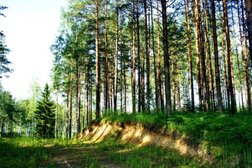 Торговая компания Акварос СПб, с рейтингом 3.4 - находится по адресу Санкт-Петербург, Минеральная улица, 13 лит З 