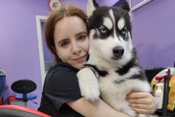 Зоосалон Нэнси, с рейтингом 3.9 - находится по адресу Ленинградская область, Мурино, шоссе в Лаврики, 83 