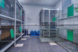 Ветеринарная клиника 24, с рейтингом 3.9 - находится по адресу Москва, 1-й Коптельский переулок, 9с1 